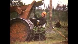 Koneellista metsänojitusta Koillismaalla 1960-luvulla.