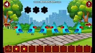 Bear Cage Breakout