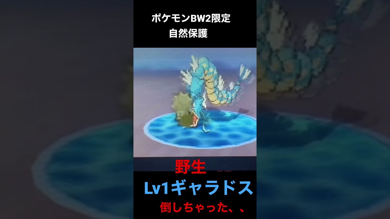 ポケモンBW2 ポケモンBW2 色固定乱数-ヒードラン編- - Master.166のブログ