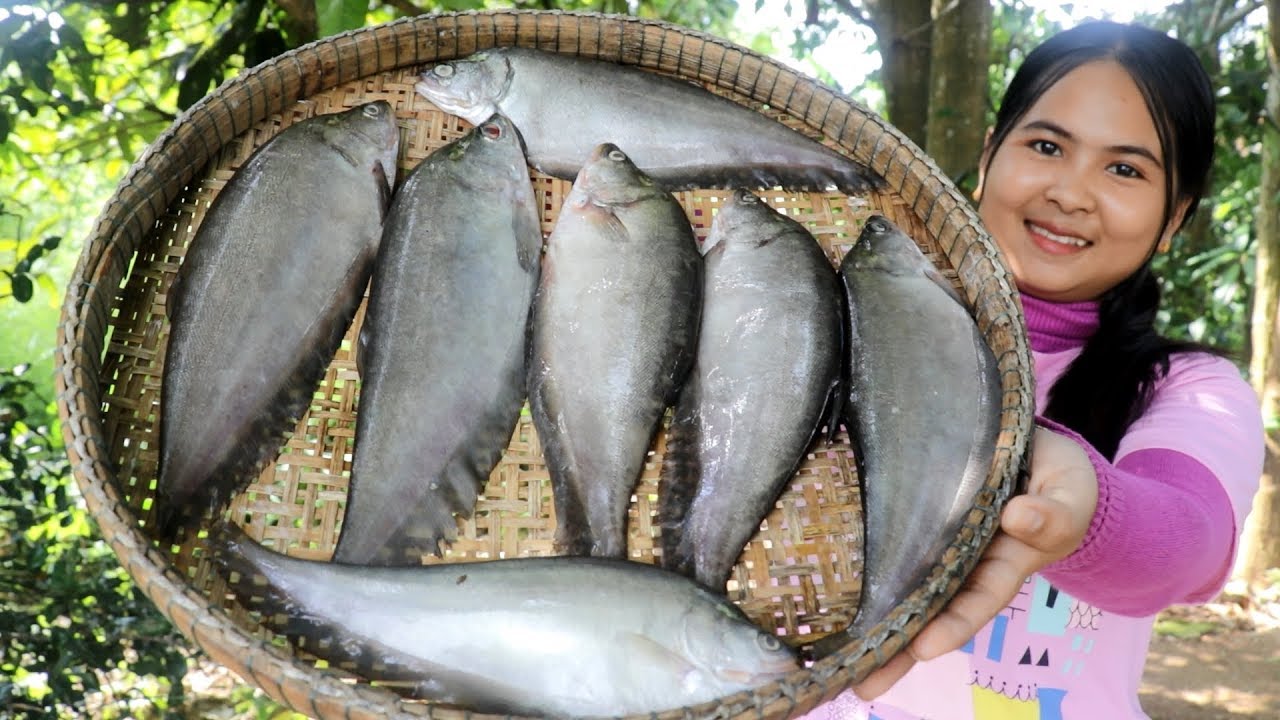 Awesome Cooking Bronze featherback Fish Meatball W/ Soybean Sauce