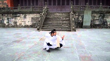 Wu Dang Fu Chen 武当功夫 太乙拂尘 Xu Wei Han 许微含