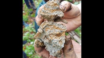 Soil Nerd Presents Indiana Soil Judging Tips Part 3 of 3: Homesite Practices