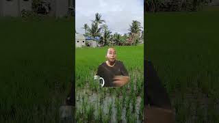 Download Lagu tapos na po kami nagtsnim #travel #love #music #beautiful #nature #foryou #shortvideo MP3