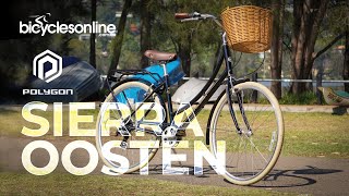 2021 Polygon Sierra Oosten | Vintage Bike