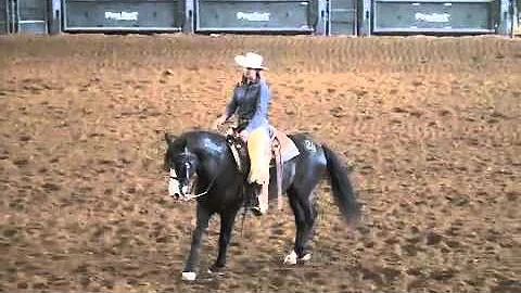 Impact of the Horse -Rebecca Harmon