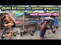 कमी खर्चात केलेले मुक्तसंचार कुक्कुटपालन | Mukt sanchar kukut palan Gavran poultry farm maharashtra