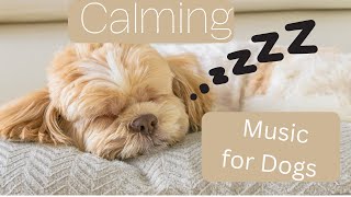 Calming Dog Music: Unlock the Power of a Stress-Free Dog in Just 7 Days by LifeofOakleytheCavapoo 29 views 1 year ago 1 minute, 2 seconds