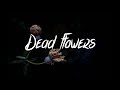 Nightlane - Dead Flowers (Lyrics / Lyric Video) feat. Jordyn Kane