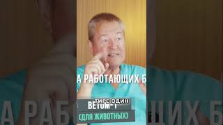Ветом 1: Спасение от Вздутия Живота? Советы! #shorts