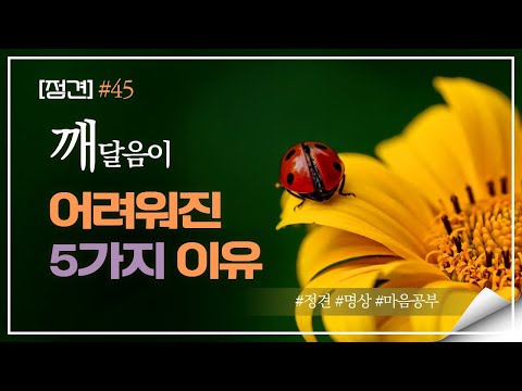 [정견] #46 - 깨달음이 어려워진 5가지 이유