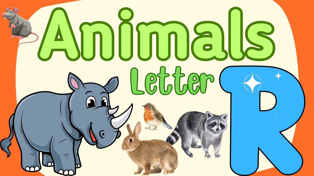 Animals Starting with the Letter "R" English Vocabulary Animals