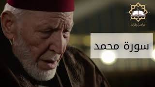 سورة محمد الشيخ محمد رشاد الشريف