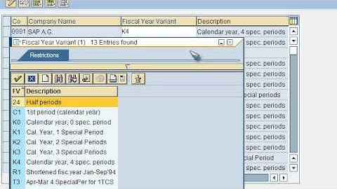 SAP FICO VIDEO TRAINING TUTORIALS 0010 ASSIGN COMPANY CODE TO FISCAL YEAR VARIANT ECC6 - BAYISETTI