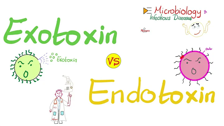 Exotoxins vs. Endotoxins - Microbiology 🧫 & Infectious Diseases 🦠