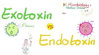 Exotoxins vs Endotoxins | Microbiology  & Infectious Diseases