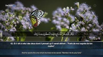 Sourate Yusuf (30-50) - Mujahid Al Khalidy سورة يوسف مجاهد الخالدي