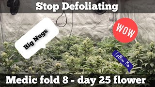 Medic Grow fold 8 Ep4 mixed strains - day 24 of flower. New code in description