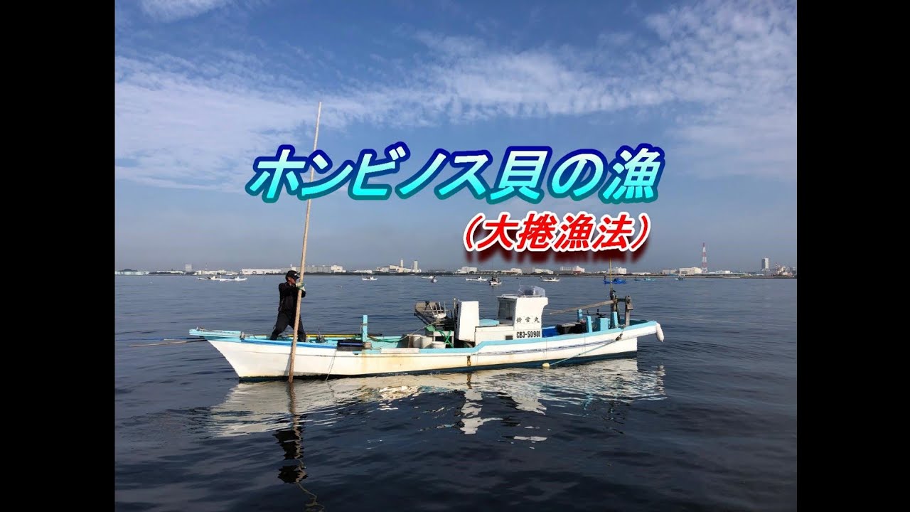 【ライム】貝殻約２２０種類と標本箱４個 ライム様専用】貝殻約220種類と標本箱4個