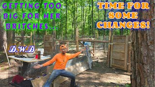 EVERYDAY CHORES & MORE! | vlog, couple builds, tiny house, homesteading, offgrid, rv life, rv |