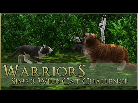 ☁️ SkyClan – A Sims 3 Warrior Cats Challenge.