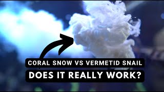 Using Coral Snow to control Vermetid Snail  Here's the results
