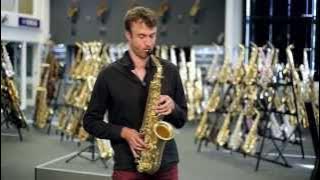 Forestone Unlacquered Alto Saxophone