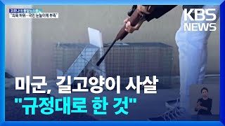 길고양이 ‘총살’한 주한미군…“규정 따른 것” / KBS  2022.05.24.