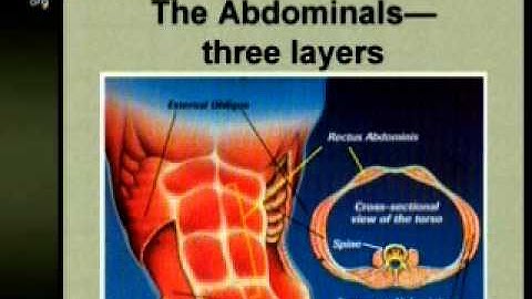 Conquering Low Back Pain: A Rehabilitation Approach