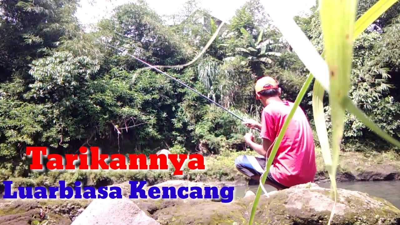 Mancing Tehnik Dasaran