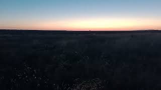 Sundown by Patch the Sinclair 79 views 1 year ago 35 seconds