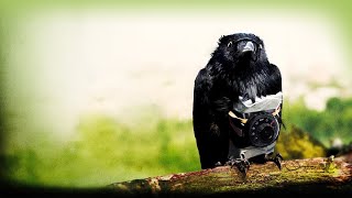 Four Lions Full Movie Knowladge And Information | Riz Ahmed | Kayvan Novak