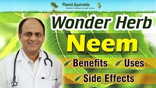 Wonder Herb- Neem Benefits, Uses and Side Effects
