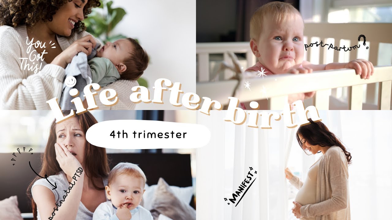 Life After Birth: A Parent’s Holistic Guide for Thriving in the Fourth ...