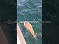 Fishing on Military Leave in Destin @gotthehookupcharters