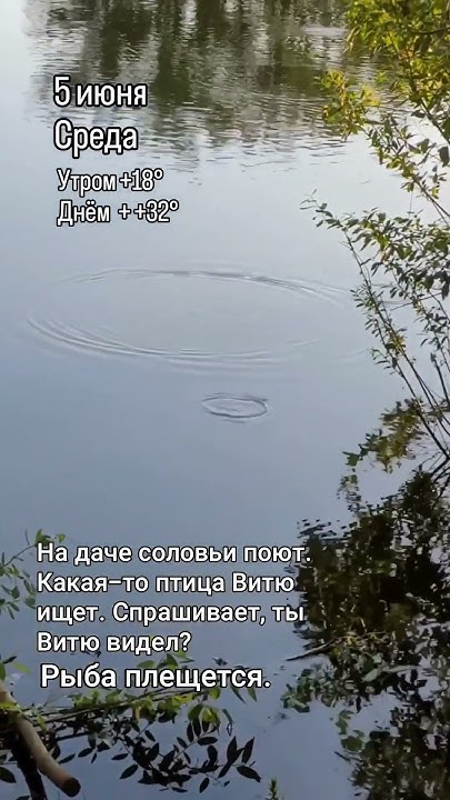 #уральск #дача #погода - YouTube