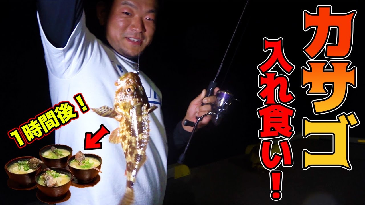 美味しい味噌汁を求めて夜の堤防でカサゴを釣りまくる！！