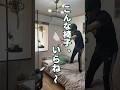 【97,5日目】100日後にかっこいい部屋をつくる|6畳1Kの狭い部屋にこんなのいらね〜# #一人暮らし #賃貸 #断捨離