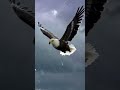 “Rise above the storm.” #mindset #viral #motivation #powerful