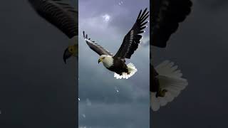 “Rise above the storm.” #mindset #viral #motivation #powerful