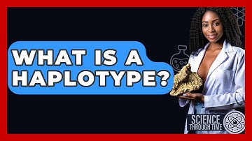 What Is A Haplotype? - Science Through Time