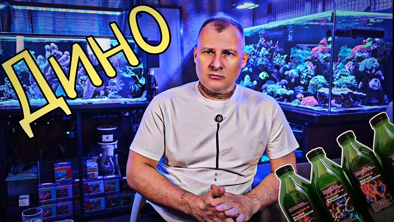 Сергей CAIMAN о ДИНО И ФИТО.