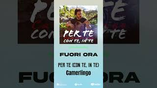 Per Te (Con Te, In Te) - Camerlingo FUORI ORA su tutte le piattaforme digitali #shorts