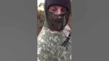 HUNTING DEER WITH A RECURVE #shorts #traditional #deer #outdoors #strangewoodzoutdoors #archery