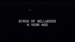 Video thumbnail of "Birds of Bellwoods - A Year Ago (Official Video)"