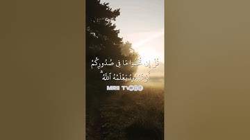 ماهر المعيقلي - سورة آل عمران ( برواية حفص عن عاصم ) الأية 29