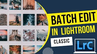 How To Batch Edit In Lightroom - Edit Multiple Photos by Copying Settings