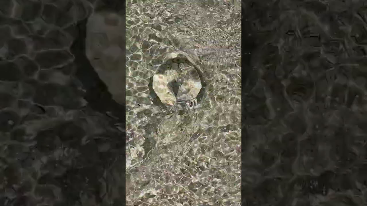 Maldives Work Break | Lensball Bird's Eye View | Gentle Waves Series