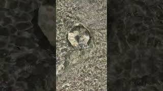 Maldives Work Break | Lensball Bird's Eye View | Gentle Waves Series screenshot 2