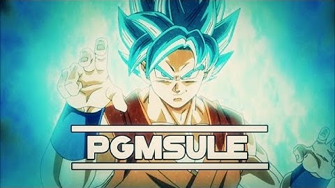 Transformice : Pgmsule