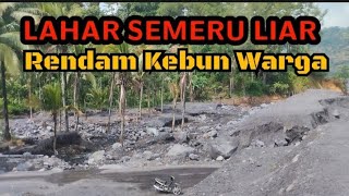 🟢LAHAR SEMERU SEMAKIN LIAR MERENDAM KEBUN WARGA